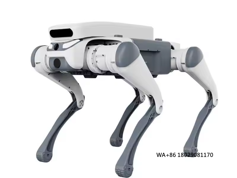Educational Toys - Juguete educativo con control remoto para